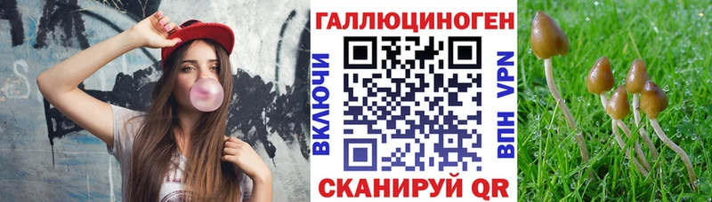 ОМГ ОМГ как войти  Звенигово  Псилоцибиновые грибы мицелий  закладки 